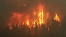 Woodland or Forest Fires - credit USFS Region 5