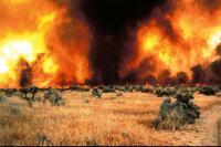 Wildfire Facts - credit Idaho Wildfire